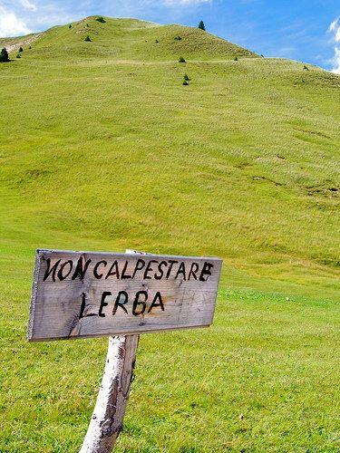 non calpestare l'erba (comunicazione efficace)